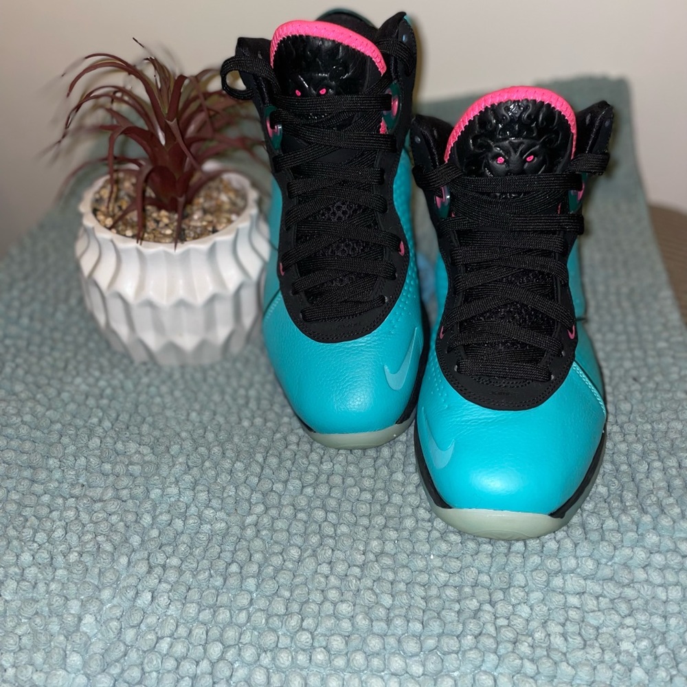 La Bron 8 never worn
